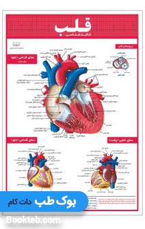 پوستر کالبدشناسی قلب