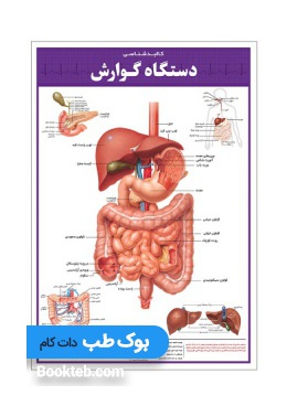 gastrointestinal_anatomy_poster