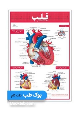 heart_anatomy_poster